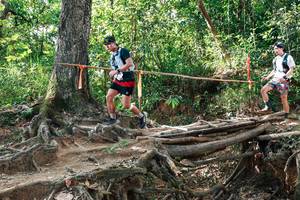 BIB: 
                            <button type="button" onclick="openModal(27558295)" class="btn btn-primary btn-sm float-right btn-popup" data-toggle="modal" data-target=".modal-high-quality">
                        <i class="fas fa-shopping-cart"></i> Add to Cart
                    </button>
                                            <button type="button" onclick="isThisMe(27558295, true)" class="btn btn-success btn-sm float-right btn-popup btn-isme hidden" data-toggle="tooltip" data-placement="bottom" title="นี่คือรูปของคุณใช่ไหม คลิกที่นี่เพื่อเอาเข้าอัลบั้ม">
                        <i class="fas fa-plus"></i> Add to album
                    </button>
                    <button type="button" onclick="isThisMe(27558295, false)" class="btn btn-warning btn-sm float-right btn-popup btn-isnotme hidden">
                        <i class="fas fa-ban"></i> Remove from album
                    </button>